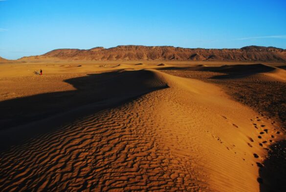 zagora morocco desert dunes